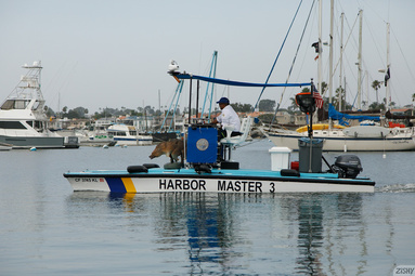 Picture 2 - Jeni Kessler on Zishy in Harbor Masters